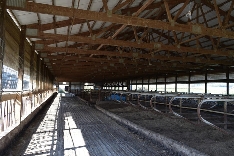 120-stall dry cow / heifer barn 120-stall dry cow / heifer barn